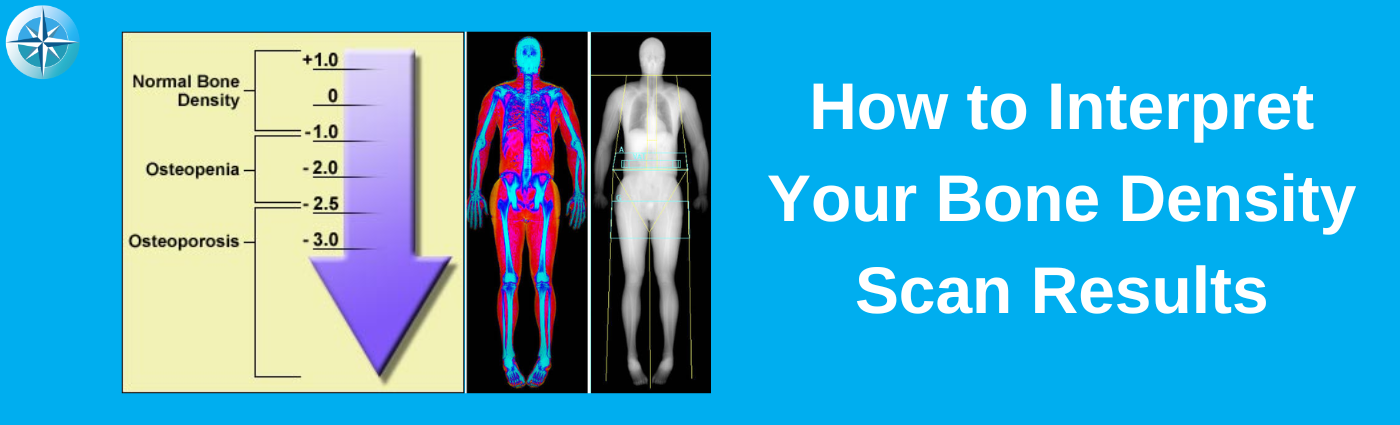 DEXA Scan Results: Understanding Your DEXA Scan Report